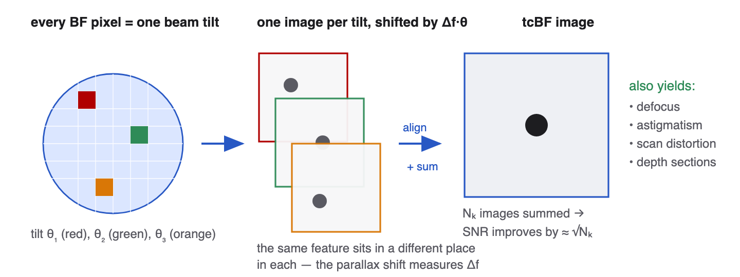 Parallax / tilt-corrected bright field: shift and add the virtual images of each BF pixel