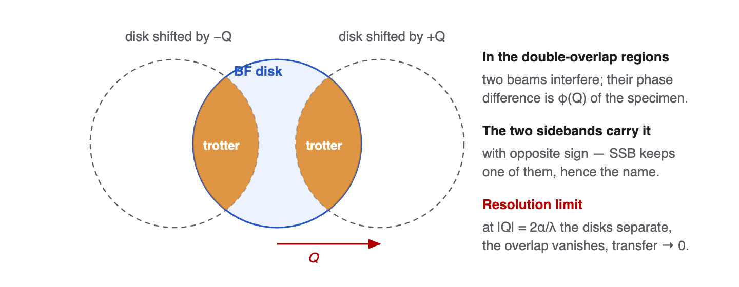 Single-side-band ptychography: the double overlap regions of the shifted bright-field disks